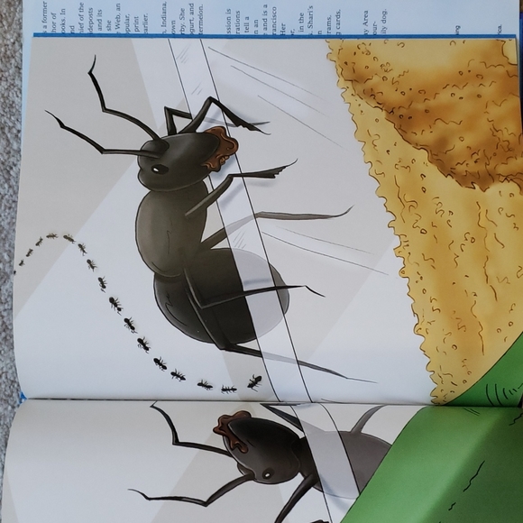 Children's Hardback Book:  Tyler Timothy Bradford  and the Birthday Surp… - Picture 5 of 5